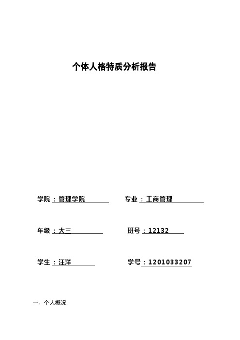 个体人格特质分析报告