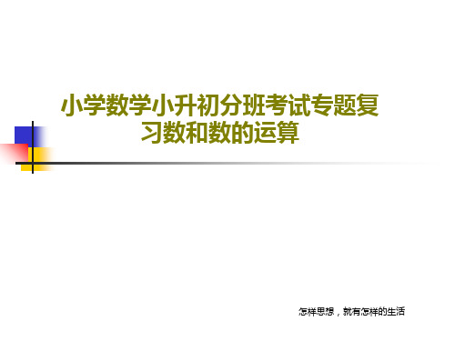 小学数学小升初分班考试专题复习数和数的运算共36页文档