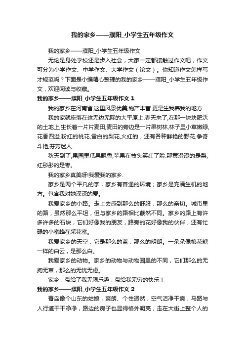 我的家乡——濮阳_小学生五年级作文