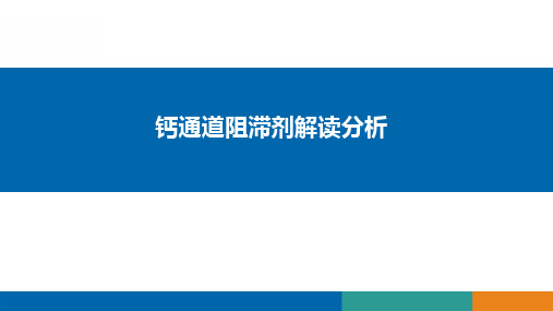 钙通道阻滞剂的解读分析