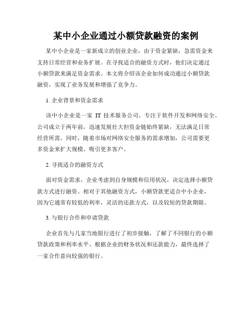 某中小企业通过小额贷款融资的案例