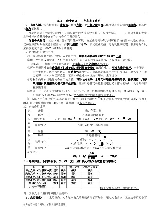 光合作用知识点总结最新版