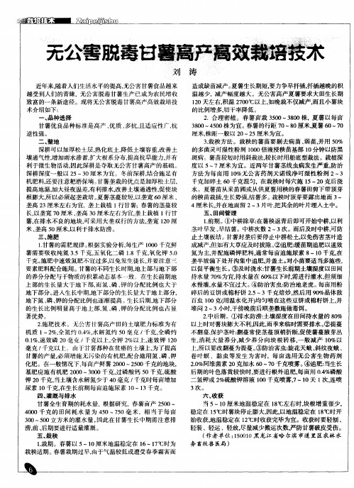 无公害脱毒甘薯高产高效栽培技术