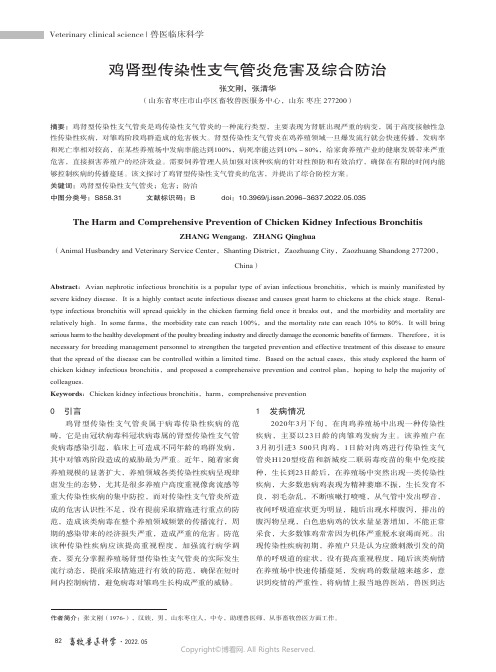 鸡肾型传染性支气管炎危害及综合防