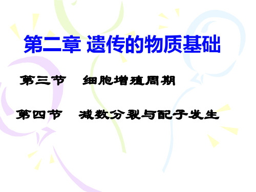 (遗传与优生)第二章三四节细胞增殖周期与减数分裂和配子的发生