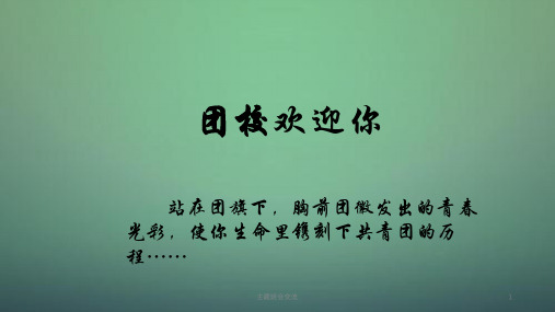中学主题班会 团课(综合版)