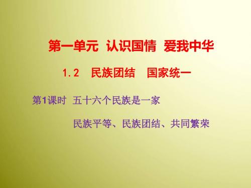 粤教版道德与法治九年级上册1.2.1五十六个民族是一家 练习课件(共31张PPT)