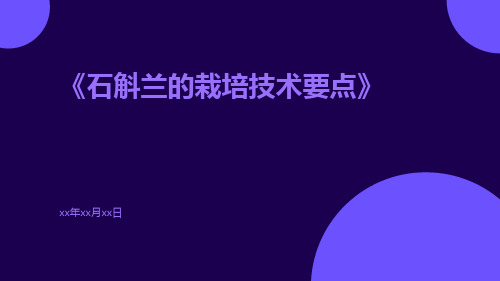 石斛兰的栽培技术要点