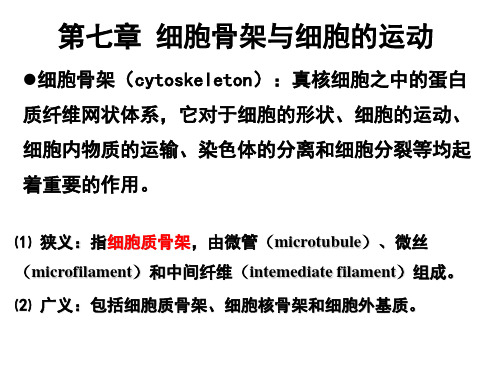 医学细胞生物学：第七章 细胞骨架与细胞的运动