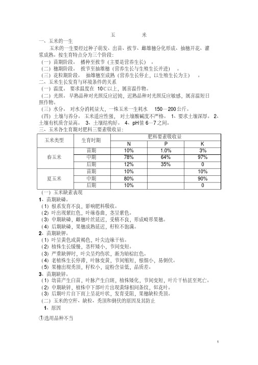 玉米种植技术学习资料