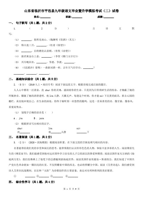 山东省临沂市平邑县九年级语文毕业暨升学模拟考试(二)试卷