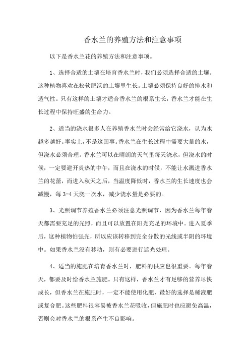 香水兰的养殖方法和注意事项