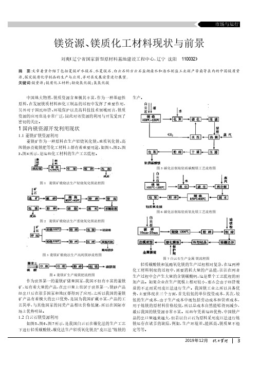 镁资源、镁质化工材料现状与前景