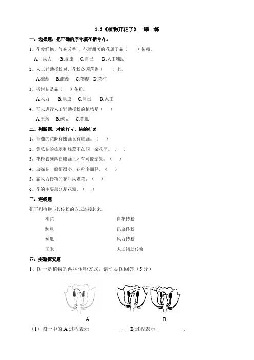 扬州市新苏教版三年级下册科学第3课时《植物开花了》课后练习+答案