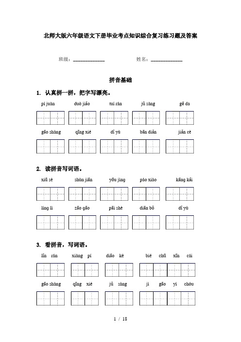 北师大版六年级语文下册毕业考点知识综合复习练习题及答案