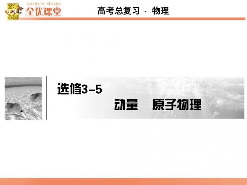 选修3-5 第1讲动量守恒定律及其应用