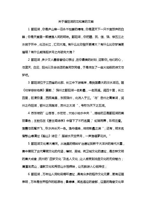 关于鄱阳湖的花和草的文案