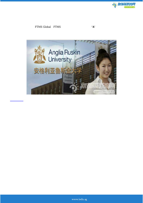 新加坡财经管理学院的商务基础课程深入解析