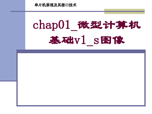 01微型计算机基础v1s图像