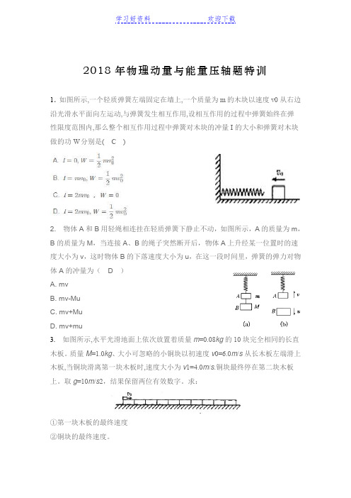 高考物理专题动量与能量压轴题特训(含答案详解)