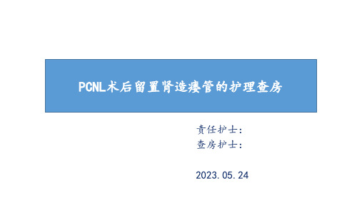 PCNL术的护理查房