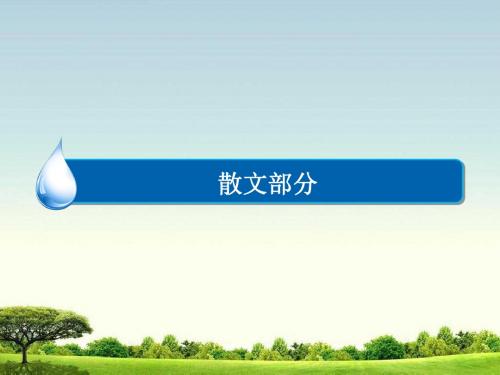 语文人教版选修《中国现代诗歌散文欣赏》练习课件：2-2-2 抓不住的鼬鼠——时间片论