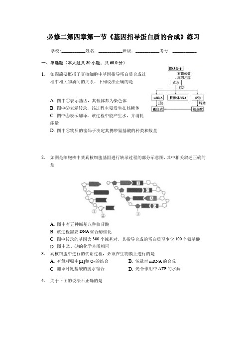 4.1 基因指导蛋白质的合成-人教版高中生物必修二练习