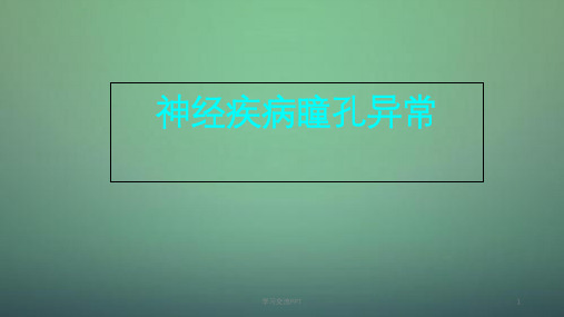 瞳孔观察ppt课件