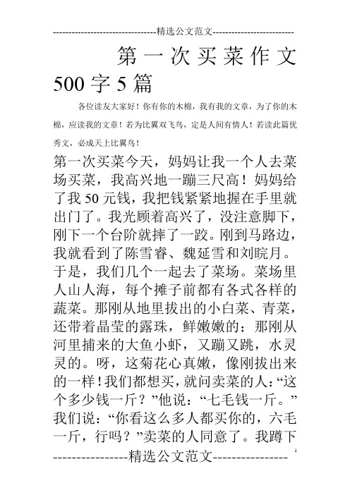 第一次买菜作文500字5篇