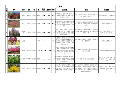 灌木类植物表