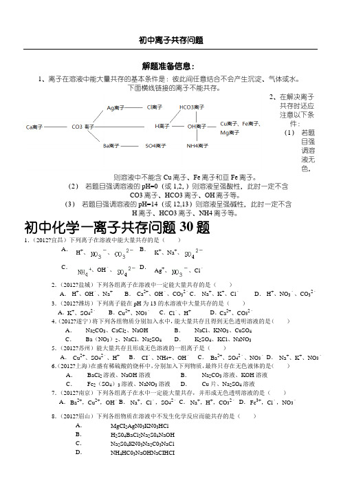 初中离子共存问题完整版