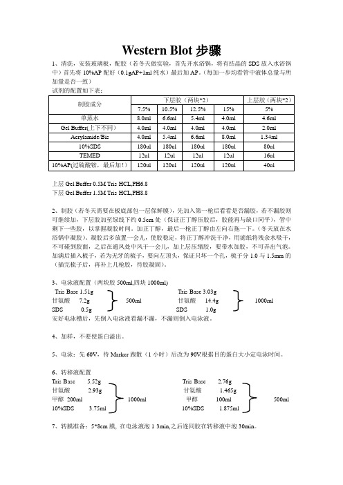 Western Blot步骤