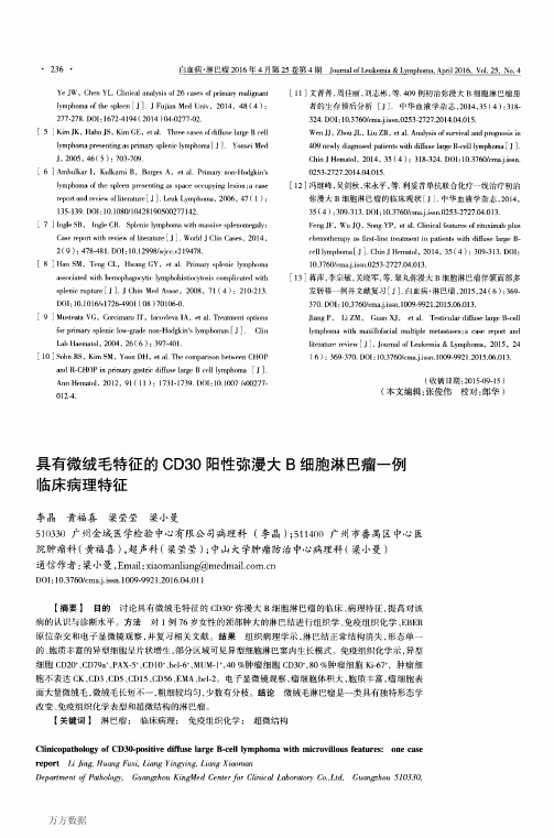 具有微绒毛特征的CD30阳性弥漫大B细胞淋巴瘤一例临床病理特征解析