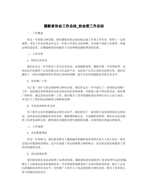 摄影家协会工作总结_协会度工作总结