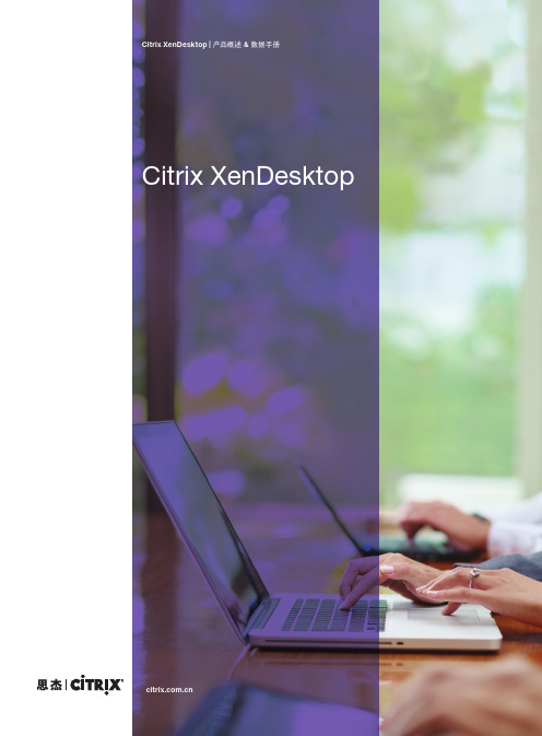 Citrix XenDesktop产品方案手册