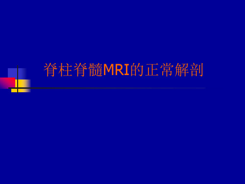 脊柱脊髓MRI