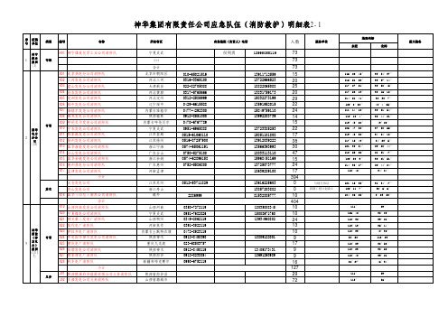 神华集团有限责任公司应急队伍(消防救护)明细表2-1