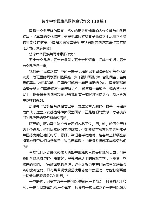 铸牢中华民族共同体意识作文（10篇）