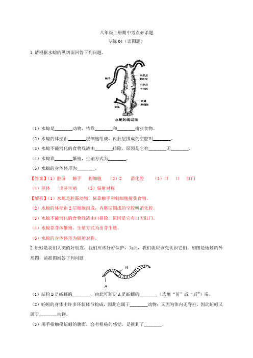 专练04(识图题)-八年级生物上册期中考点必杀题(人教版)(解析版)