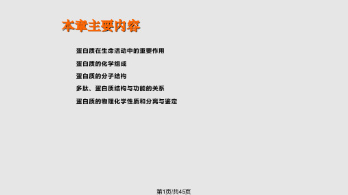 研究生入学考试动物生物化学蛋白质的结构与功能PPT课件