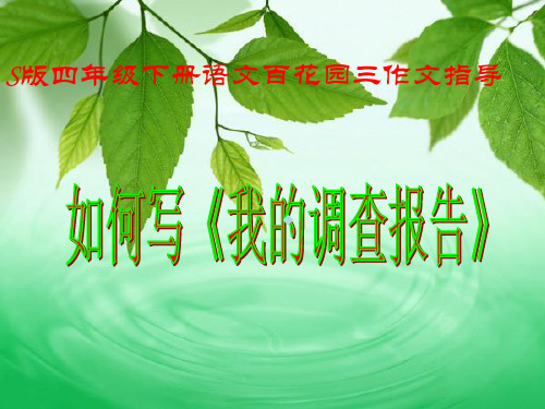 四年级语文下册第三单元我的调查报告写作指导ppt课件
