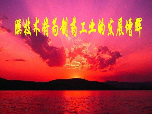 滤过灭菌在制药过程中的应用----滤过灭菌54页PPT