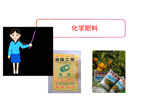 2020-2021学年人教版(五四学制)化学九年级全册 第四单元 课题2 化学肥料 课件