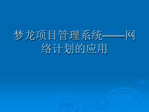 梦龙项目管理系统——网络计划的应用