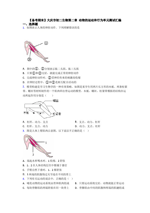 【备考期末】大庆市初二生物第二章 动物的运动和行为单元测试汇编