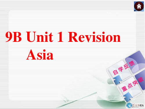 9BUnit1Revision复习精编课件