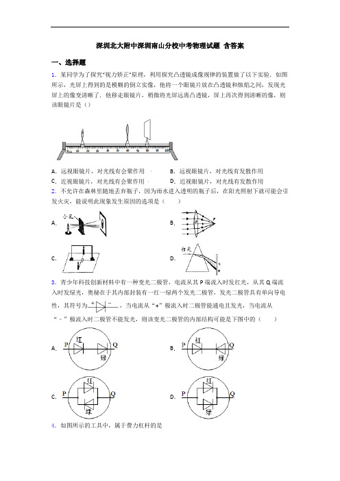 深圳北大附中深圳南山分校中考物理试题 含答案