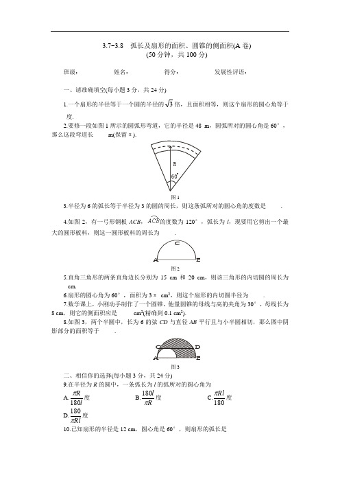 北师大版数学九年下(附答案)