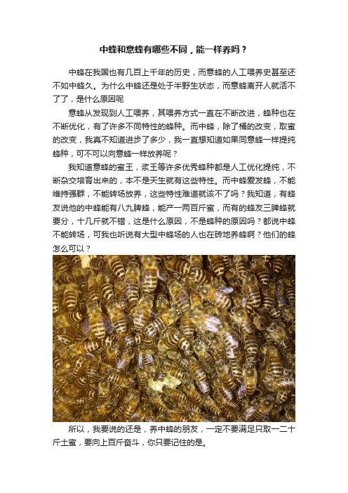 中蜂和意蜂有哪些不同，能一样养吗？