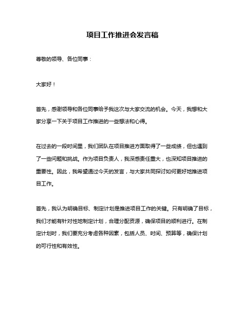 项目工作推进会发言稿